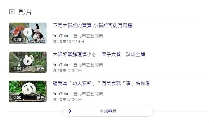 一張 Google 搜尋結果截圖，畫面中出現影片搜尋結果區塊，展示多支與貓熊相關的 YouTube 影片，包含影片縮圖、播放按鈕、片長、標題、來源與發布日期，適合用於說明影片 SEO、Google 影片版位與影音內容在搜尋結果中的曝光方式。