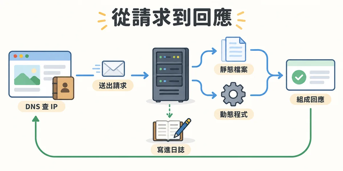 網頁伺服器從請求到回應的流程:瀏覽器先透過 DNS 查到 IP 並送出請求,伺服器把靜態檔案直接讀出或把動態內容交給程式,組成回應送回,同時寫進存取日誌。