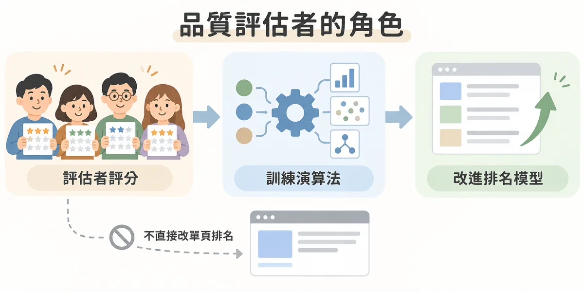 Google 品質評估者角色示意：評估者的評分不會直接改變單一網頁排名，而是被用來訓練演算法、改進整體排名模型，間接影響 YMYL 網頁的表現。