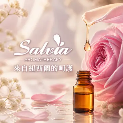 宏宇美學