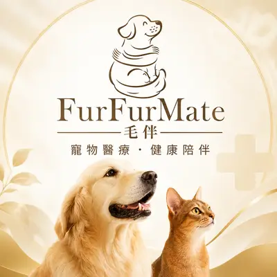 FurFurMate毛伴