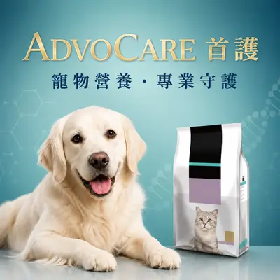 手護處方寵物食品