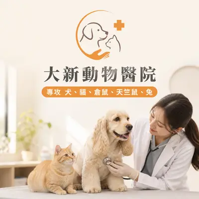 愛竹動物醫院