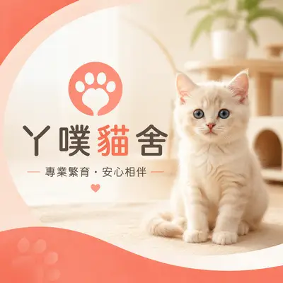 丫噗貓舍